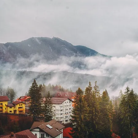 Pensiune Turistica Milcov-Vladet