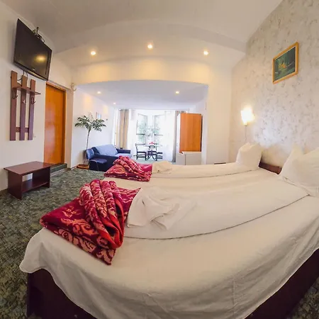 Pensiune Turistica Milcov-Vladet Predeal