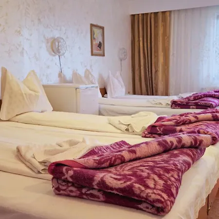 Guest house Pensiune Turistica Milcov-Vladet