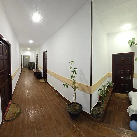 Guest house Pensiune Turistica Milcov-Vladet 2*