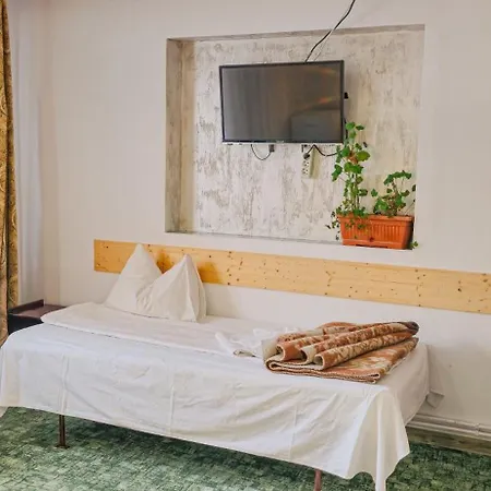 Pensiune Turistica Milcov-Vladet 2* Predeal