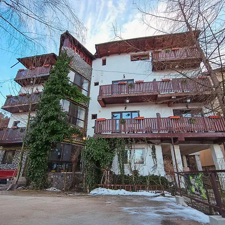 Guest house Pensiune Turistica Milcov-Vladet 2*